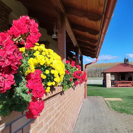 Apartament Gyori Lovastanya